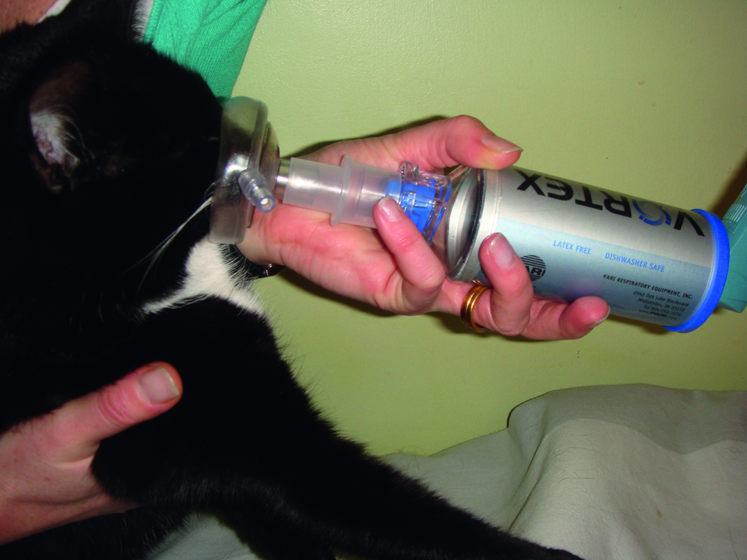 Feline Inhalant Delivery System